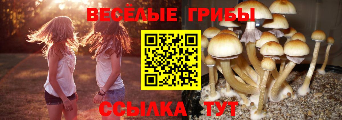 Галлюциногенные грибы GOLDEN TEACHER Троицк